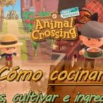 Cocina, cultiva y desbloquea recetas en Animal Crossing: New Horizons